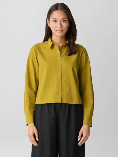 Eileen Fisher Washed Organic Cotton Poplin Classic Collar Short Shirt In Yellow
