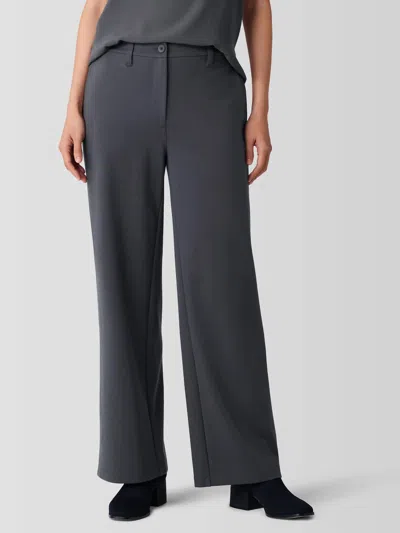 Eileen Fisher Wide Easy Fit Trouser Pants In Ebony In Gray
