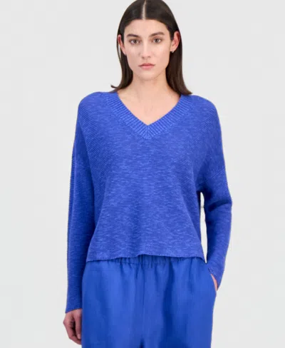 Eileen Fisher Women's Cotton & Linen V-neck Sweater In Blue