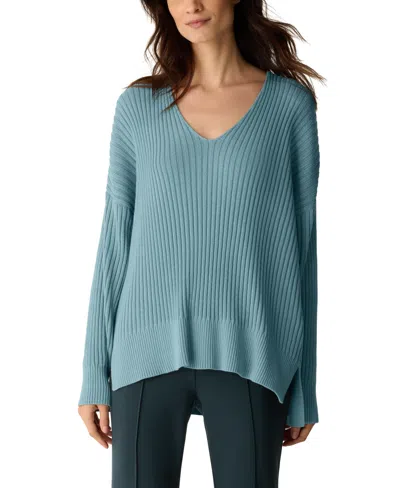 Eileen Fisher Women's V-neck Pull-on Sweater In Blue