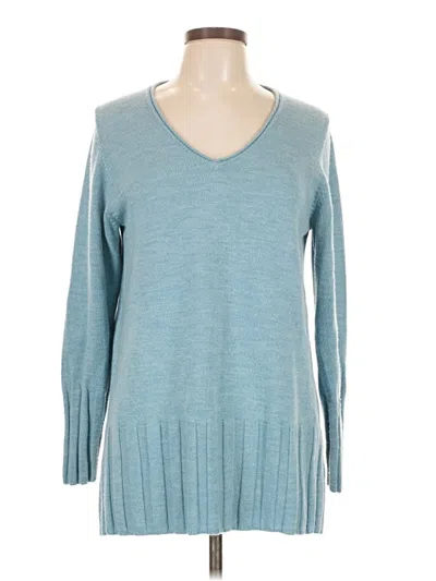 Pre-owned Eileen Fisher Wool Pullover Sweater In Blue