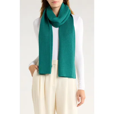 Eileen Fisher Wool Scarf In Green