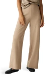 Eileen Fisher Wool Wide Leg Pants In Brown