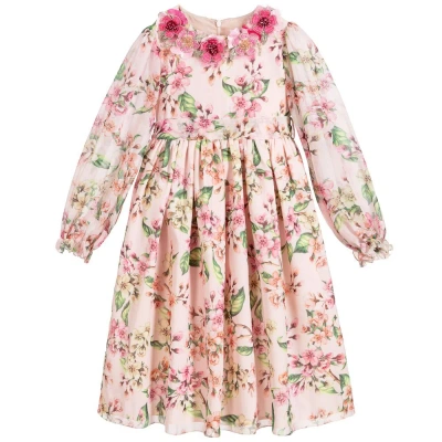 Eirene Kids'  Girls Pink Floral Chiffon Dress