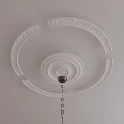 Ekena Millwork Floral Classic Ceiling Ring Kit In Silver