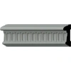 Ekena Millwork Viceroy Panel Moulding In White