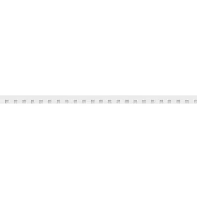 Ekena Millwork Wilson Architectural Grade Pvc Dentil Trim W/backplate In White