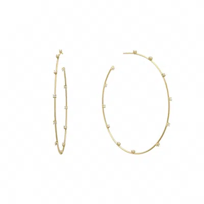 Eklexic Women's Cz Studded Thin Oversized Hoops In 14k Gold Vermeil In Multi