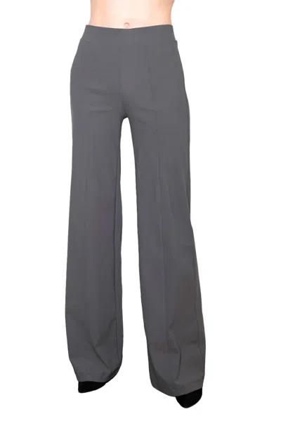 Elaine Kim Tech Stretch Wide Pants In Grey In Gray