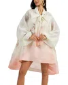 Elaine Mini Dress In Multi