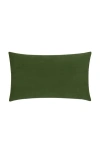 Elaine Smith Plush Velvet Indoor & Outdoor Woven Accent Pillow
