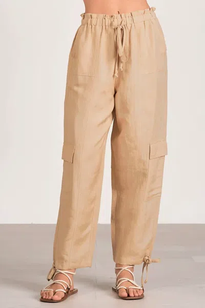 Elan Cargo Pants In Taupe In Brown