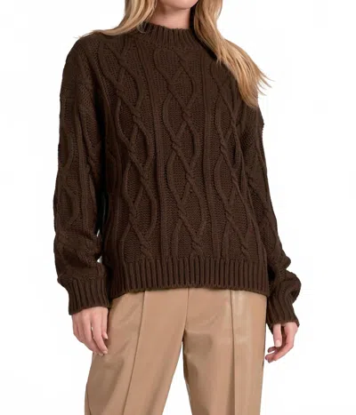 Elan Tristian Long Sleeve Sweater In Cocoa Brown