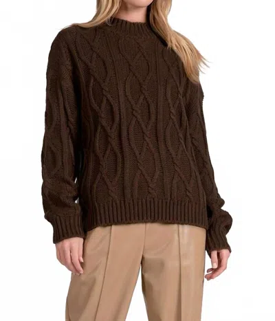 Elan Crewneck Cable Sweater In Brown