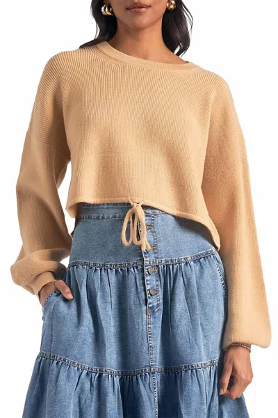 Elan Drawstring Pullover Sweater In Dark Beige In Neutral