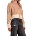 Elan Logan Color Block Cardigan In Tan/natural In Multi