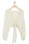 Elan Stripe Long Sleeve Tie Front Cover-up Top