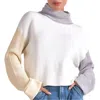 Elan Color Blocked Sweater In White