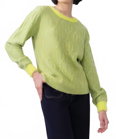 Elana Wang Fluffy Edge Sweater In Green In Multi