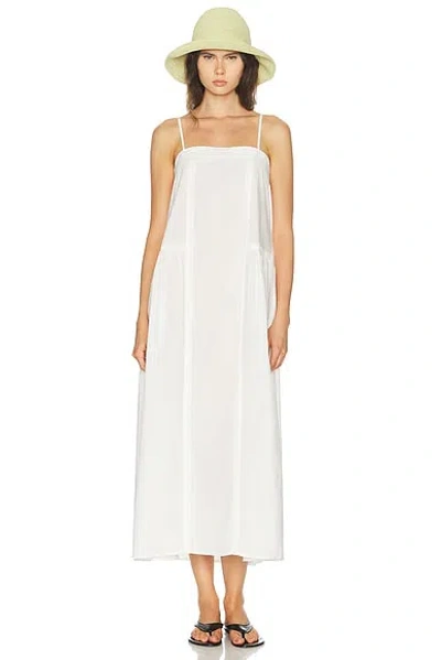 Elce Marisol Maxi Dress In Animal Print