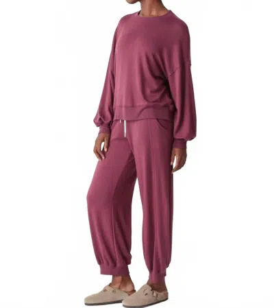 Electric & Rose Balloon Barrel Leg Sweatpant In Merlot In Pink