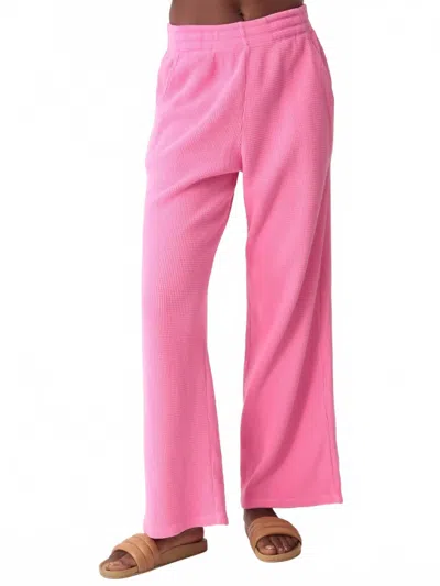 Electric & Rose Tanner Pant In Malibu Pink In Burgundy