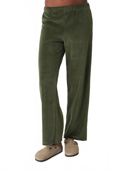 Electric & Rose Wylie Velour Pant In Verdoyant Green
