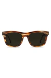 Electric Modena 52mm Polarized Rectangular Sunglasses In Tobacco/grey Polar