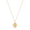 Electric Picks Beyond The Stars Zodiac Necklace In Gold