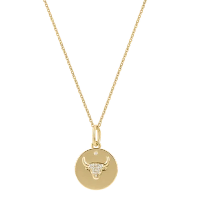 Electric Picks Beyond The Stars Zodiac Necklace