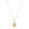Electric Picks Beyond The Stars Zodiac Necklace