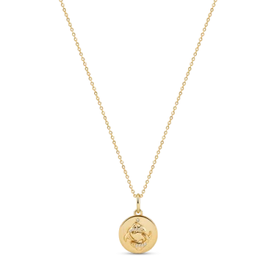 Electric Picks Beyond The Stars Zodiac Necklace