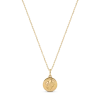 Electric Picks Beyond The Stars Zodiac Necklace In Gold