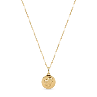 Electric Picks Beyond The Stars Zodiac Necklace