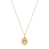 Electric Picks Beyond The Stars Zodiac Necklace In Gold