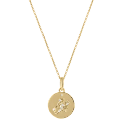 Electric Picks Beyond The Stars Zodiac Necklace