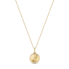 Electric Picks Beyond The Stars Zodiac Necklace In Gold