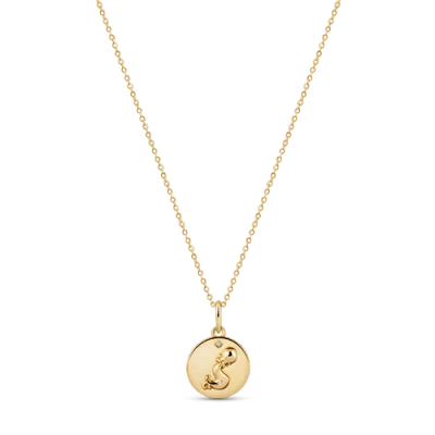 Electric Picks Beyond The Stars Zodiac Necklace