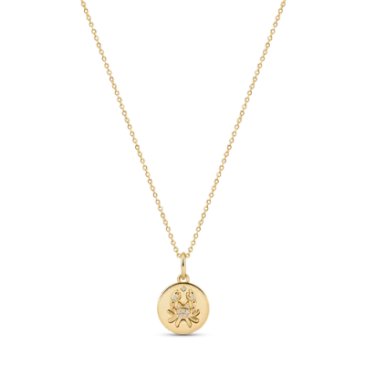 Electric Picks Beyond The Stars Zodiac Necklace