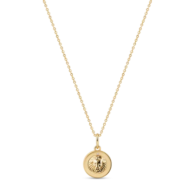 Electric Picks Beyond The Stars Zodiac Necklace