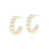 Electric Picks Disco Hoops