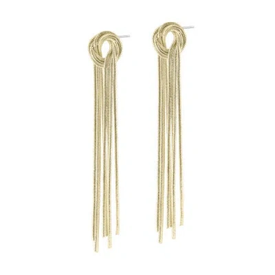 Electric Picks Enchanted Earrings