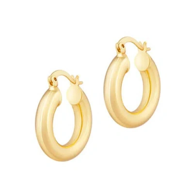 Electric Picks Mini Hendrix Hoops In Gold