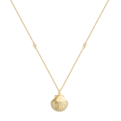 Electric Picks Splash Shell Necklace In Gold