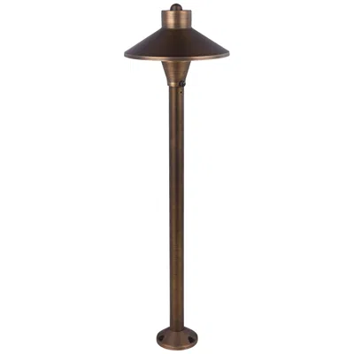 Elegant Lighting Medium-cone 24" High Antique Brass Landscape Path Light