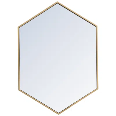 Elegant Lighting Noemi Brass Metal 24" X 34" Hexagonal Wall Mirror