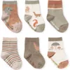 Elegant Baby Assorted 6-pack Dino Socks Gift Box In Brown Multi