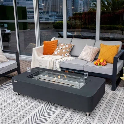 Elementi Sydney 14'' H X 61.9'' W Concrete Bio-ethanol Fuel Outdoor Fire Pit Table With Windscreen And Lid In Black