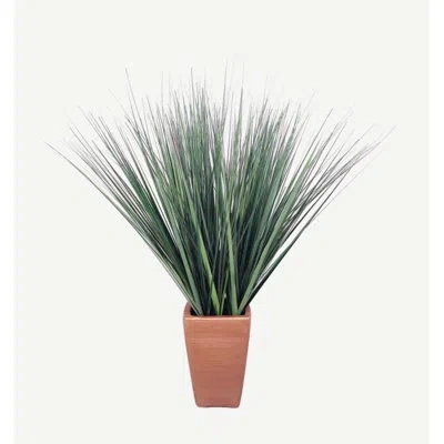 Elements Artificial Grass Plant In Pot, 28 Inch In Green