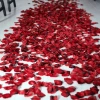Elements Artificial Rose Petals In Red